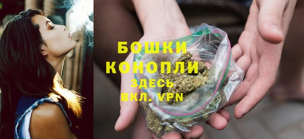 дурь Арсеньев