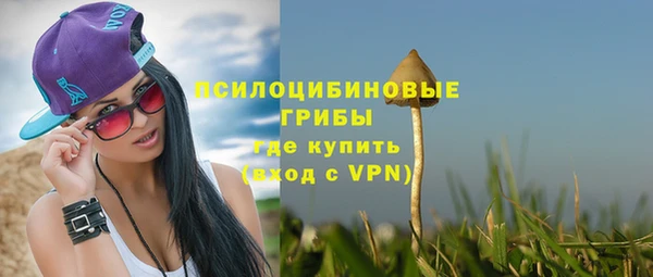 a pvp Армянск