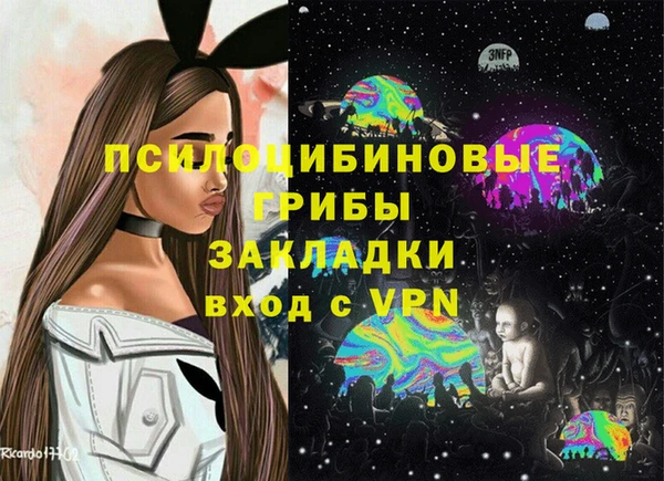 дурь Арсеньев