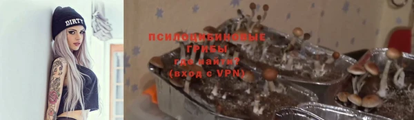 дурь Арсеньев