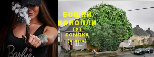 дурь Арсеньев