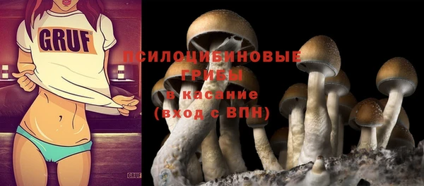 дурь Арсеньев