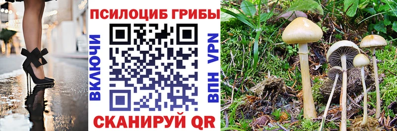 дарнет шоп  Серафимович  Псилоцибиновые грибы мухоморы 