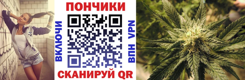 MEGA онион  Серафимович  МАРИХУАНА планчик 